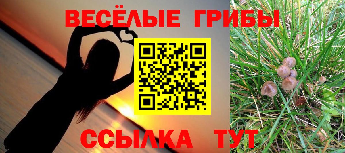 Галлюциногенные грибы MAGIC MUSHROOMS  Вход с VPN  Кизилюрт  Псилоцибиновые грибы MAGIC MUSHROOMS 